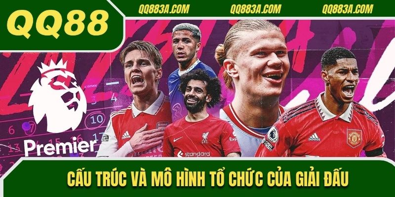 Cấu trúc và mô hình tổ chức của giải đấu